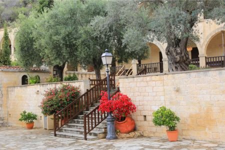 Stone courtyard with olive trees and flowers in Tala village, Paphos District.
